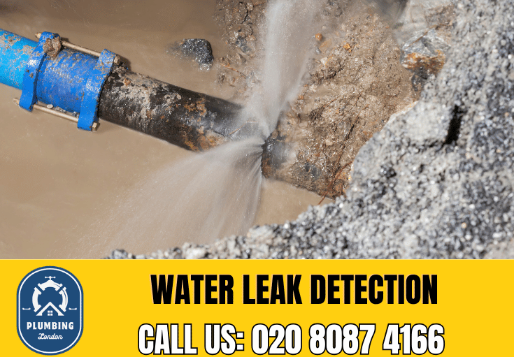 leak detection Kew